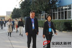市人大常委會領(lǐng)導(dǎo)蒞臨寶潤達新型材料視察工業(yè)轉(zhuǎn)型工作